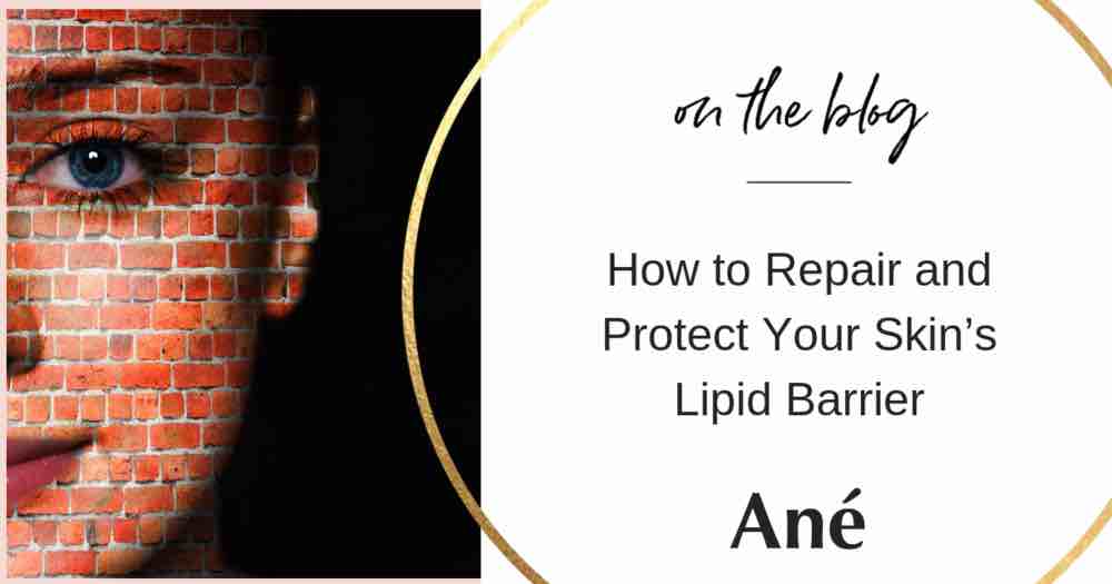 How to Repair and Protect Your Skin's Lipid Barrier 