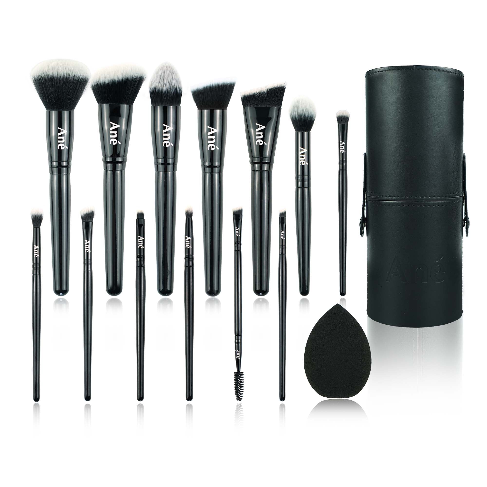 Ané professional makeup brush set with case and blender