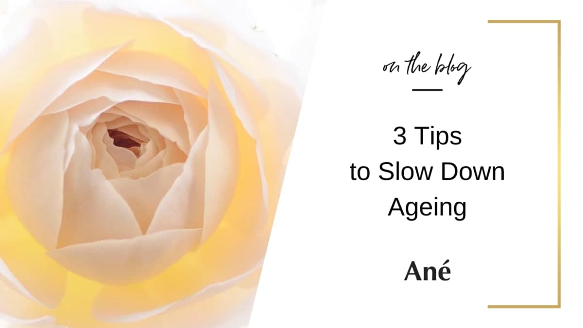3 tips to slow down skin ageing by Ané