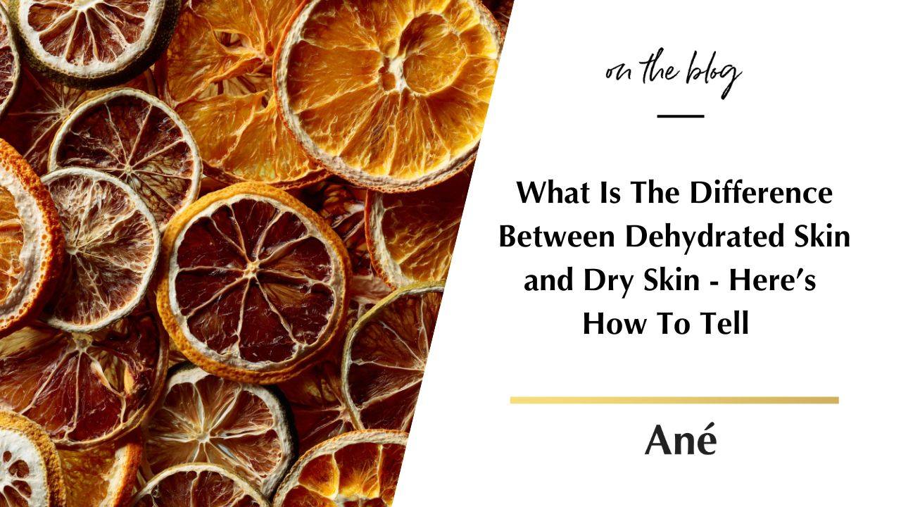 Beauty by Ané Blog Difference between Dry and Dehydrated Skin and How To Tell 
