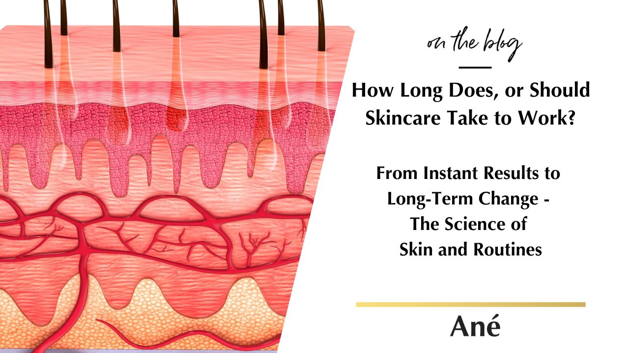 How Long Does Skincare Take to Work?