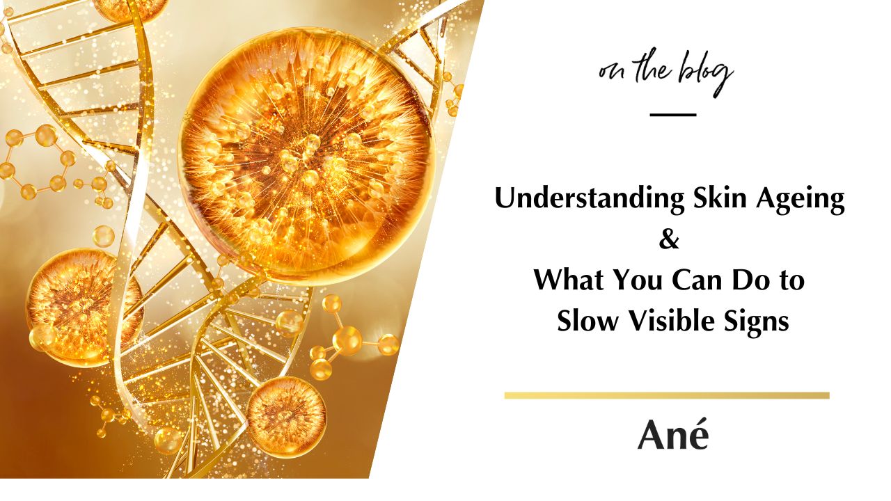 Understanding skin ageing and slowing visible signs naturally