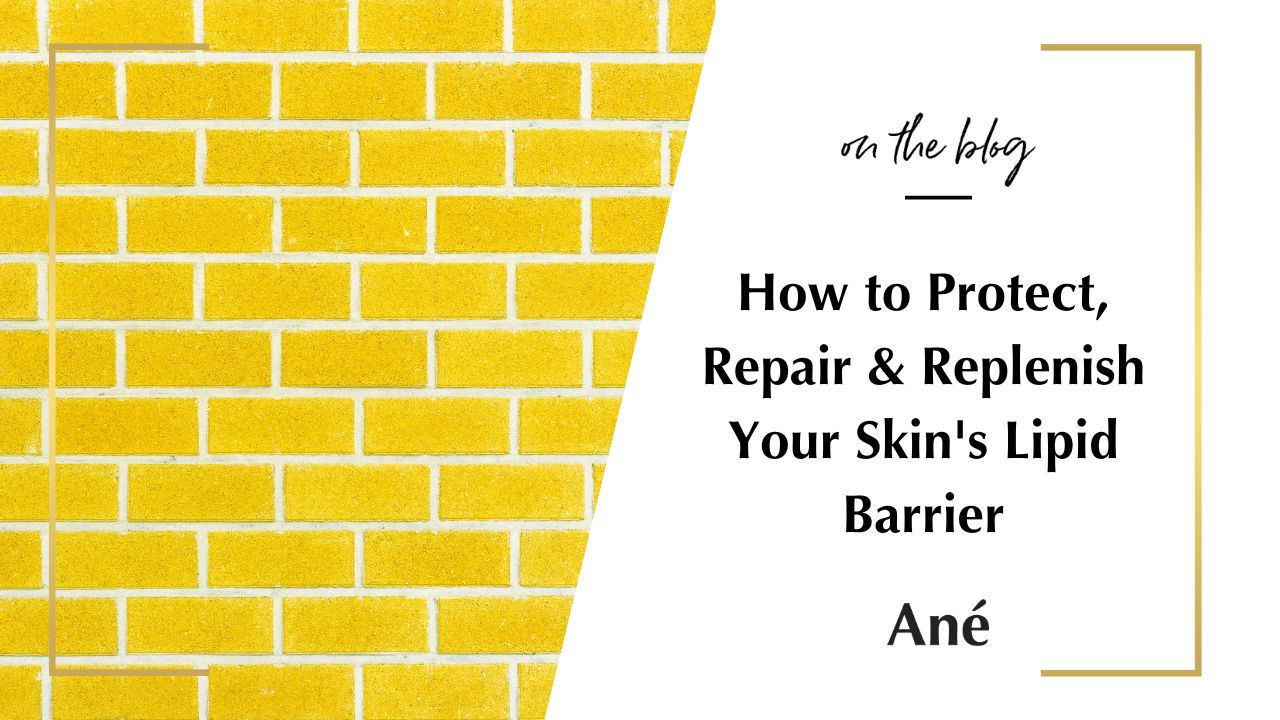 How to repair and protect your skin’s lipid barrier blog - learn what damages it, how to repair barrier lipids through skincare