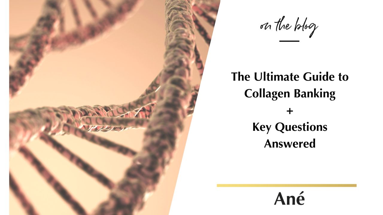 Collagen banking guide for midlife skin by Ané Auret