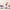 Ané skincare products with Beauty Bible Awards 2023