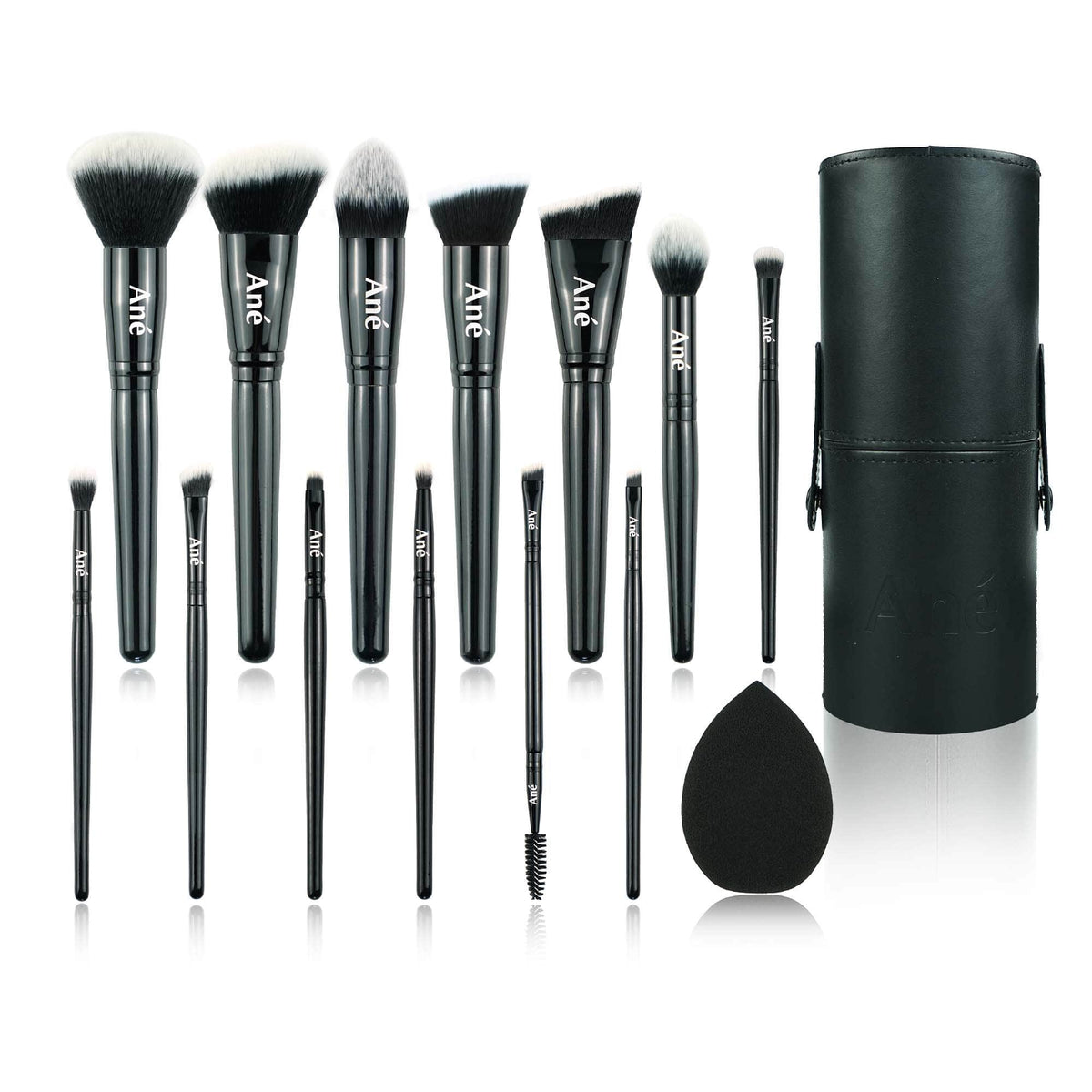 Ané 13-piece vegan makeup brush set with case